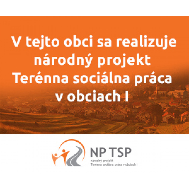 NP TSP I